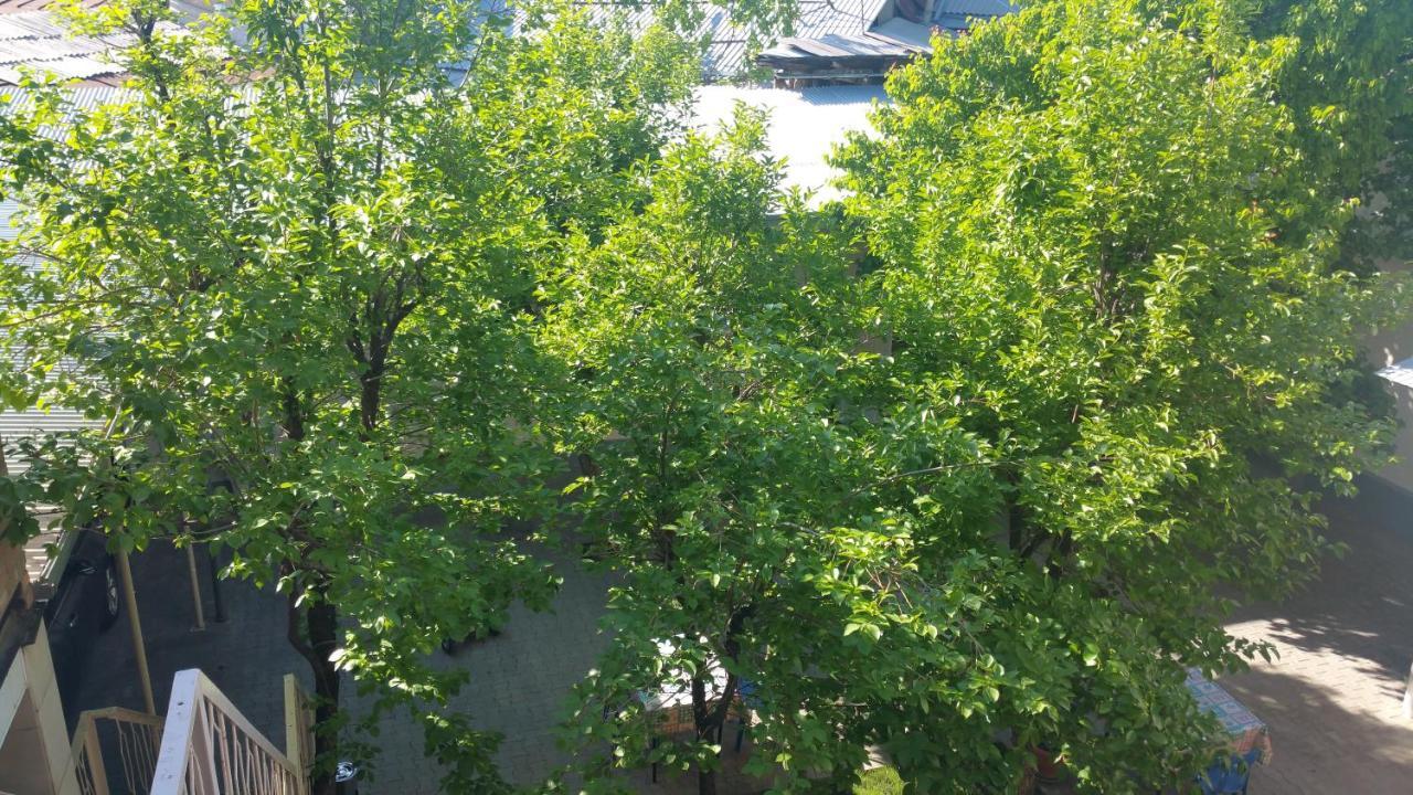 Gulnara Guesthouse Tachkent Extérieur photo